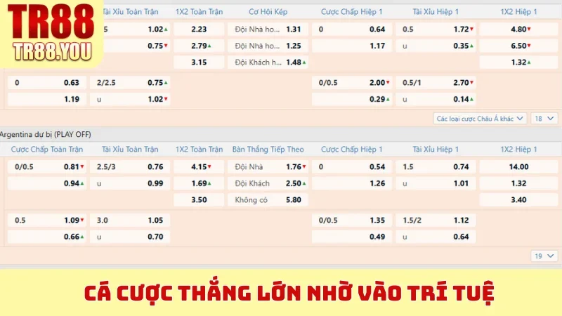 Cá cược thắng lớn nhờ vào trí tuệ