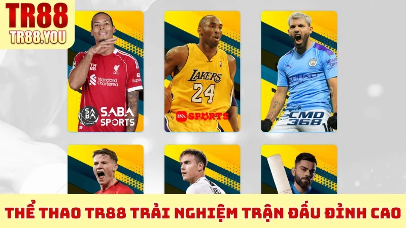 Thể thao TR88 trải nghiệm trận đấu đỉnh cao