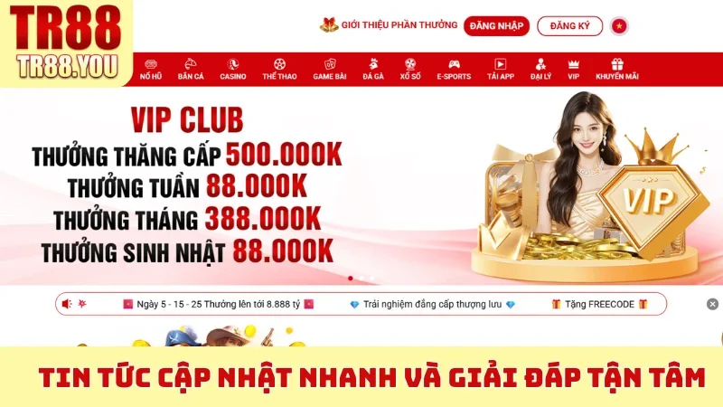 Tin tức cập nhật nhanh và giải đáp tận tâm