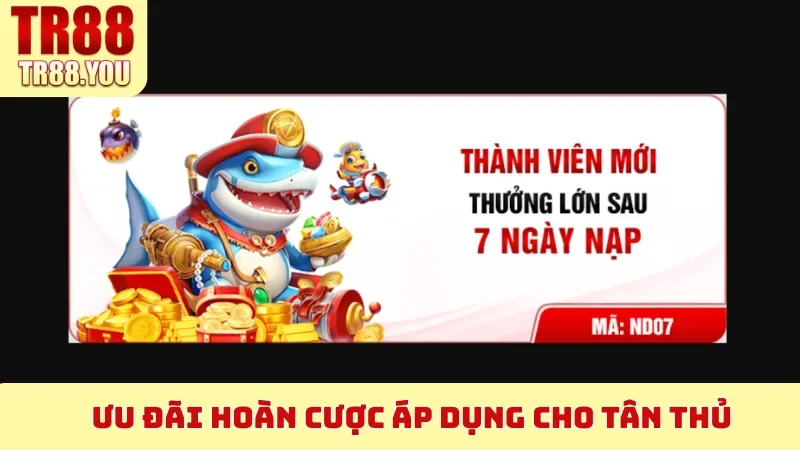 Ưu đãi hoàn cược áp dụng cho tân thủ